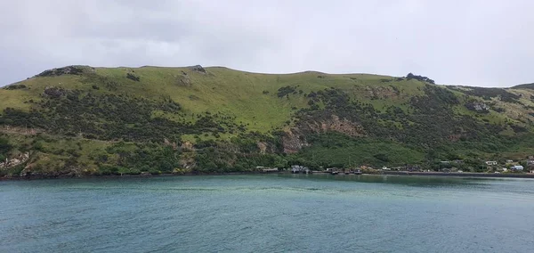 Dunedin Otago New Zealand Δεκεμβρίου 2019 Majestic Coast View Dunedin — Φωτογραφία Αρχείου