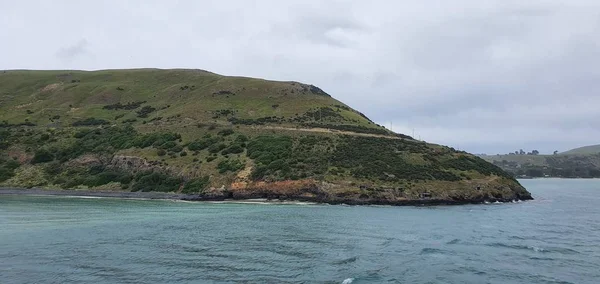 Dunedin Otago New Zealand Δεκεμβρίου 2019 Majestic Coast View Dunedin — Φωτογραφία Αρχείου