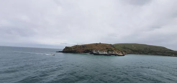 Dunedin Otago Nova Zelândia Dezembro 2019 Majestic Coast View Dunedin — Fotografia de Stock