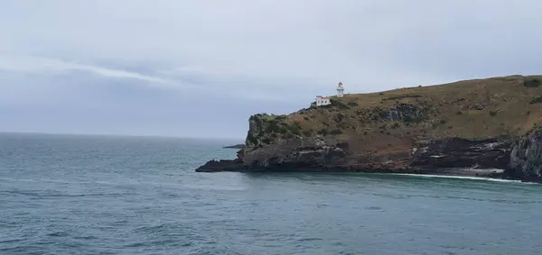 Dunedin Otago Nueva Zelanda Diciembre 2019 Majestuosa Vista Costa Ciudad —  Fotos de Stock