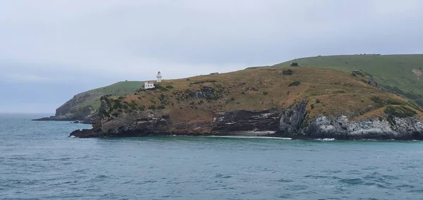 Dunedin Otago Nowa Zelandia Grudzień 2019 Majestatyczny Widok Wybrzeże Miasta — Zdjęcie stockowe