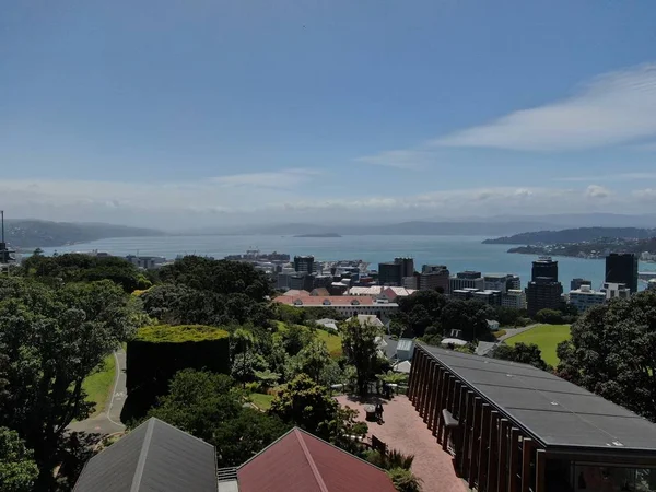 Dunedin Otago Nouvelle Zélande Décembre 2019 Majestueuse Vue Sur Côte — Photo