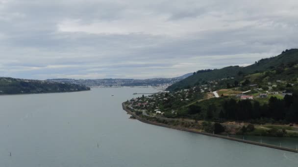 Dunedin Otago New Zealand December 2019 Majestic Coast View Dunedin — 图库视频影像