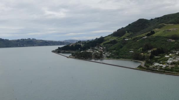 Dunedin Otago New Zealand December 2019 Majestic Coast View Dunedin — 图库视频影像