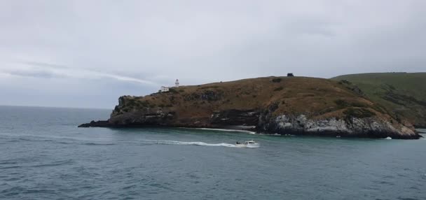 Dunedin Otago New Zealand December 2019 Majestic Coast View Dunedin — 图库视频影像