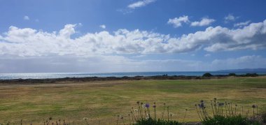 Napier, Kuzey Adası / Yeni Zelanda - 29 Aralık 2019: Napier, Yeni Zelanda 'nın Art Deco Başkenti; kentin simgeleri, manzarası ve güzel çevresi