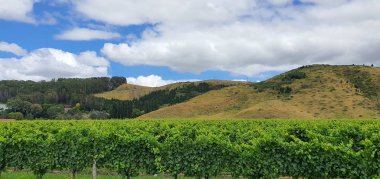 Napier, Kuzey Adası / Yeni Zelanda - 29 Aralık 2019: Napier, Yeni Zelanda 'nın Art Deco Başkenti; kentin simgeleri, manzarası ve güzel çevresi