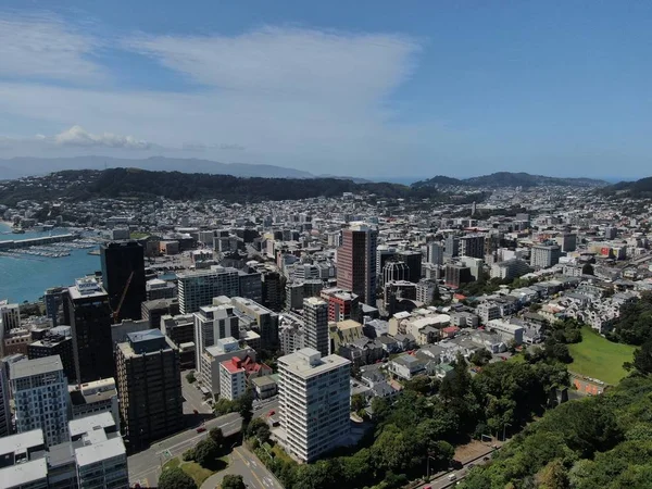 Dunedin Otago Nouvelle Zélande Décembre 2019 Majestueuse Vue Sur Côte — Photo