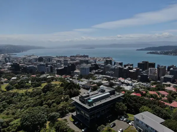 ドゥネディン オタゴ ニュージーランド 2019年12月29日 ドゥネディン市の雄大な海岸の景色ニュージーランドと農村部 — ストック写真