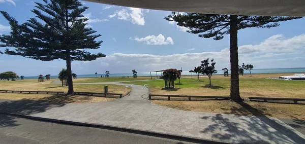 Napier Isla Norte Nueva Zelanda Diciembre 2019 Napier Que Capital — Foto de Stock