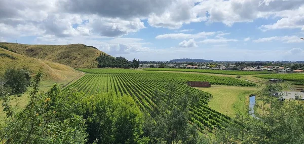 Napier, North Island / New Zealand - December 29, 2019: Napier, which is The Art Deco Capital City of New Zealand; along with its landmarks, scenic views and beautiful surroundings