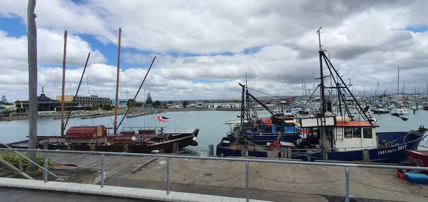 Napier Île Nord Nouvelle Zélande Décembre 2019 Napier Qui Est — Photo