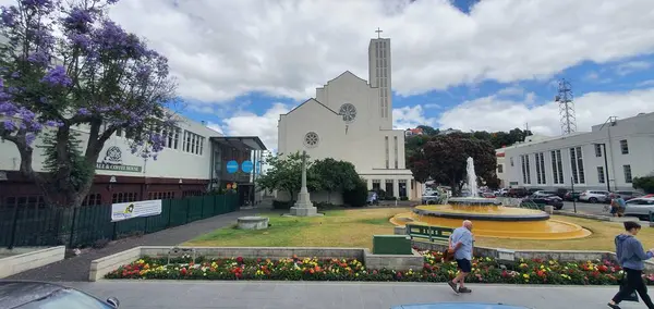 Napier Isla Norte Nueva Zelanda Diciembre 2019 Napier Que Capital — Foto de Stock