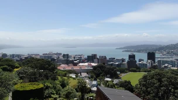 Dunedin Otago New Zealand Δεκεμβρίου 2019 Majestic Coast View Dunedin — Αρχείο Βίντεο