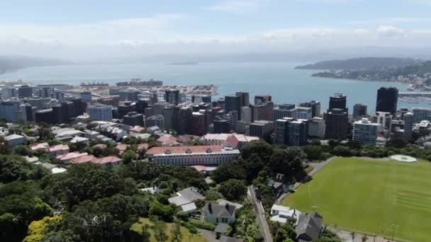 Dunedin Otago Nový Zéland Prosince 2019 Majestic Coast View Město — Stock video