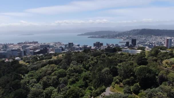 Dunedin Otago New Zealand Δεκεμβρίου 2019 Majestic Coast View Dunedin — Αρχείο Βίντεο