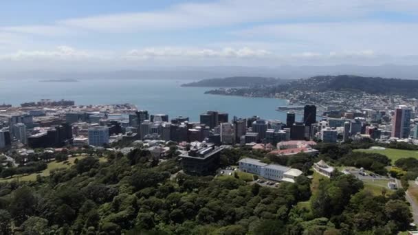Dunedin Otago New Zealand December 2019 Majestic Coast View Dunedin — Stock Video