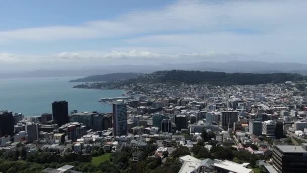 Napier Île Nord Nouvelle Zélande Décembre 2019 Napier Qui Est — Video