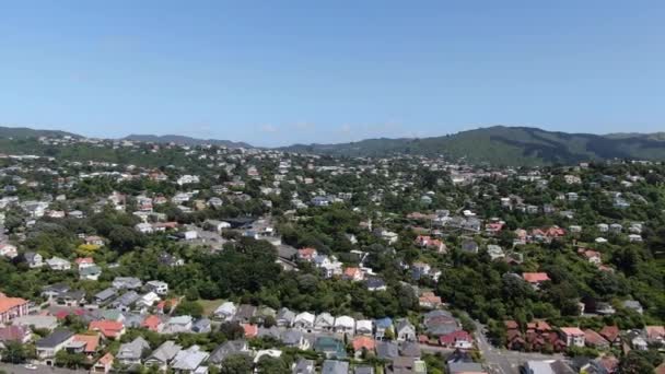 Napier Kuzey Adası Yeni Zelanda Aralık 2019 Napier Yeni Zelanda — Stok video