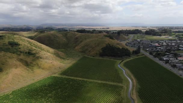 Napier Île Nord Nouvelle Zélande Décembre 2019 Napier Qui Est — Video