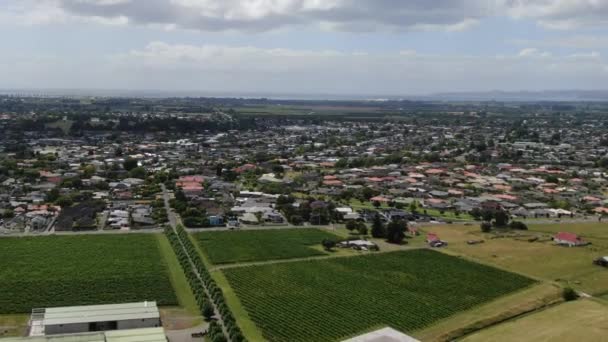 Napier Île Nord Nouvelle Zélande Décembre 2019 Napier Qui Est — Video