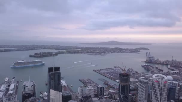 Viaduct Harbour Auckland New Zealand December 2019 Iconic Skytower Landmark — Stock Video