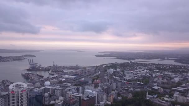 Viaduct Harbour Auckland Nueva Zelanda Diciembre 2019 Emblemático Hito Skytower — Vídeos de Stock