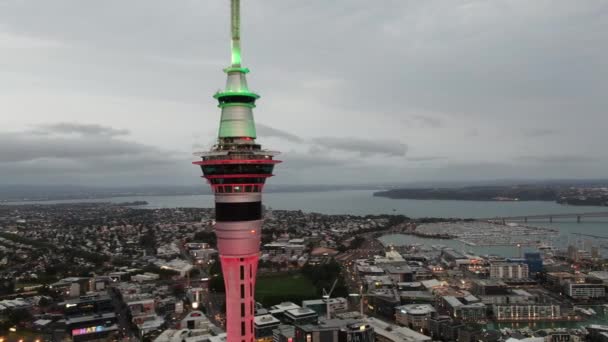 Viaduct Harbour Auckland Nova Zelândia Dezembro 2019 Icônico Marco Skytower — Vídeo de Stock