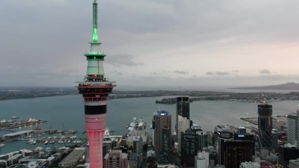 Viaduct Harbour Auckland New Zealand December 2019 Iconic Skytower Landmark — Stock Video