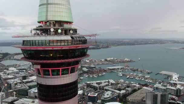 Viaduct Harbour Auckland New Zealand December 2019 Iconic Skytower Landmark — Stock Video