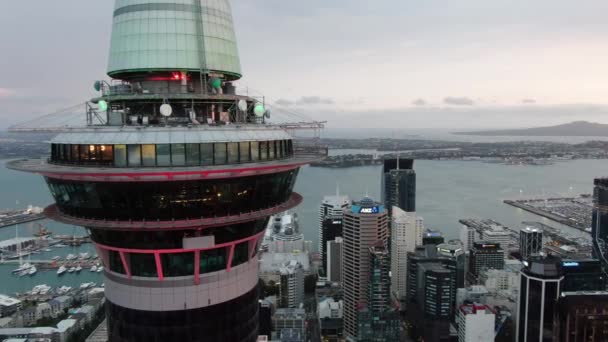 Viaduct Harbour Auckland Nueva Zelanda Diciembre 2019 Emblemático Hito Skytower — Vídeos de Stock