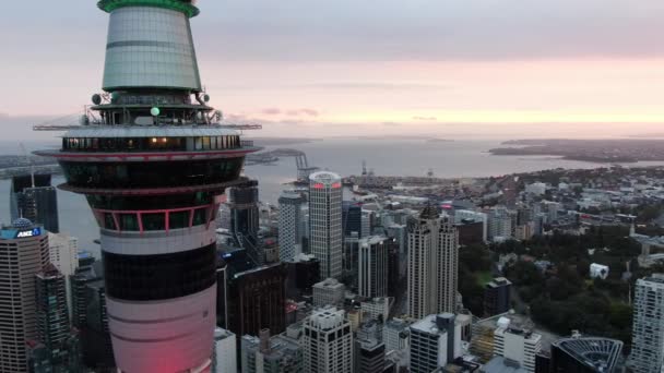 Viaduct Harbour Auckland Nueva Zelanda Diciembre 2019 Emblemático Hito Skytower — Vídeos de Stock