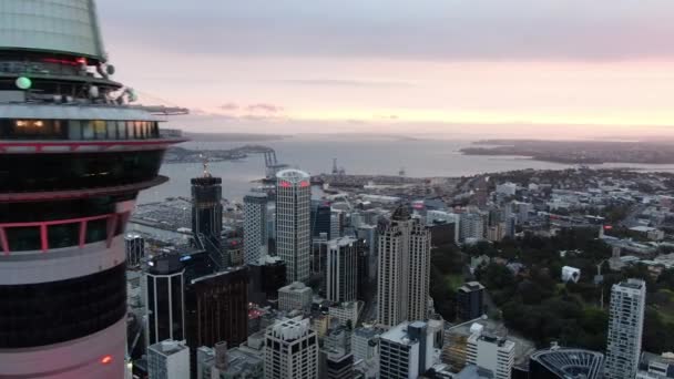 Viaduct Harbour Auckland Nueva Zelanda Diciembre 2019 Emblemático Hito Skytower — Vídeos de Stock