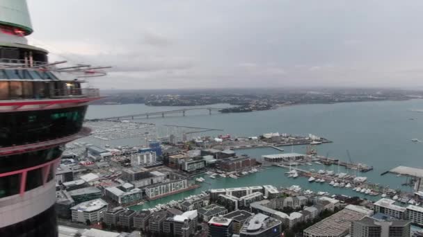 Viaduct Harbour Auckland New Zealand December 2019 Iconic Skytower Landmark — Stok video