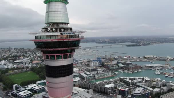 新西兰奥克兰高架桥港 2019年12月31日 奥克兰市及其周边建筑的标志性天塔地标 — 图库视频影像