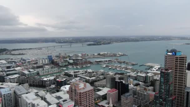 Viaduct Harbour Auckland Nova Zelândia Dezembro 2019 Icônico Marco Skytower — Vídeo de Stock