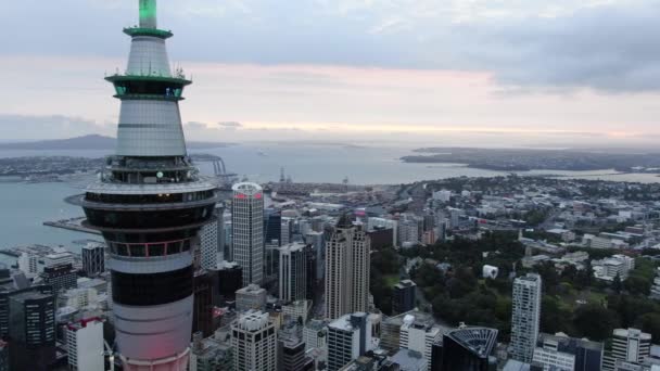 Viaduct Harbour Auckland Nueva Zelanda Diciembre 2019 Emblemático Hito Skytower — Vídeos de Stock