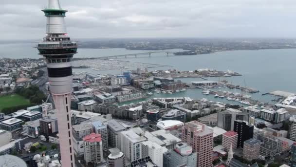 Viaduct Harbour Auckland Nova Zelândia Dezembro 2019 Icônico Marco Skytower — Vídeo de Stock