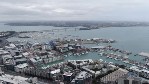 Viaduct Harbour Auckland Zéland 2019 December Auckland Város Környező Épületeinek — Stock videók