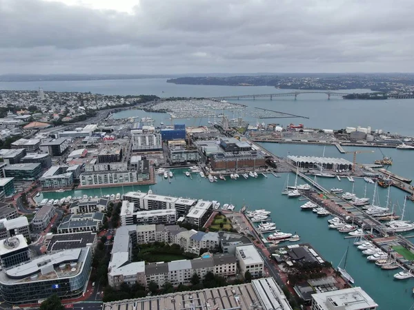 Viaduct Harbour Auckland New Zealand December 2019 Iconic Skytower Landmark — Stock Photo, Image