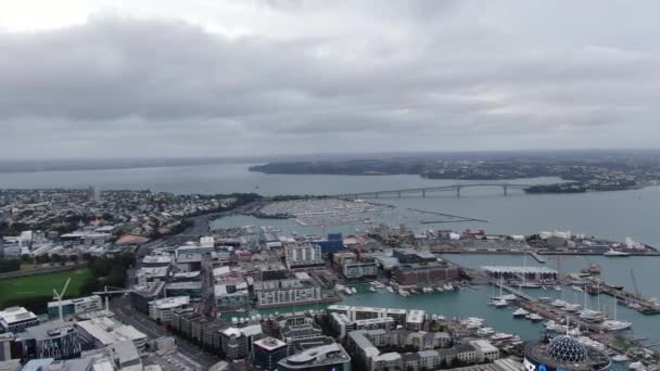 新西兰奥克兰高架桥港 2019年12月31日 奥克兰市及其周边建筑的标志性天塔地标 — 图库视频影像