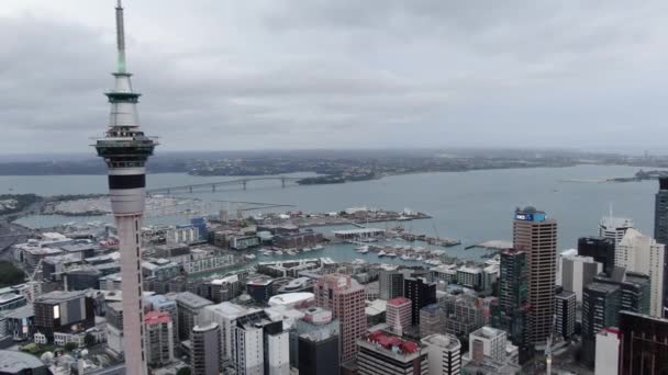 Viaduct Harbour Auckland Nueva Zelanda Diciembre 2019 Emblemático Hito Skytower — Vídeos de Stock