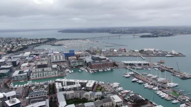 Viaduct Harbour Auckland Nueva Zelanda Diciembre 2019 Emblemático Hito Skytower — Vídeos de Stock