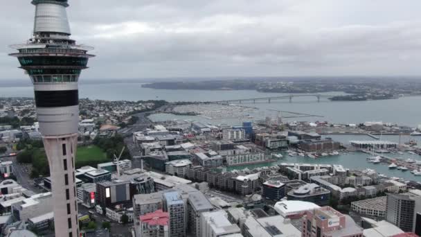 Viaduct Harbour Окленд Нова Зеландія Грудня 2019 Iconic Skytower Landmark — стокове відео