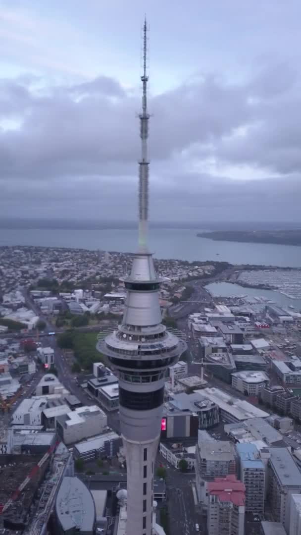 Viaduct Harbour Auckland Nieuw Zeeland December 2019 Het Iconische Skytower — Stockvideo