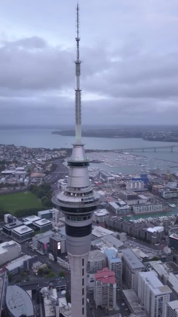 Viaduct Harbour Auckland New Zealand December 2019 Iconic Skytower Landmark — Stock Video