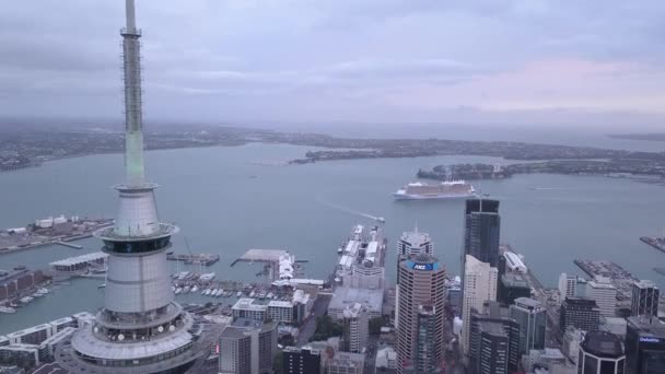 Viaduct Harbour Auckland Zéland 2019 December Auckland Város Környező Épületeinek — Stock videók