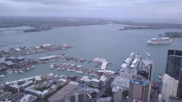 Viaduct Harbour Auckland Nueva Zelanda Diciembre 2019 Emblemático Hito Skytower — Vídeos de Stock