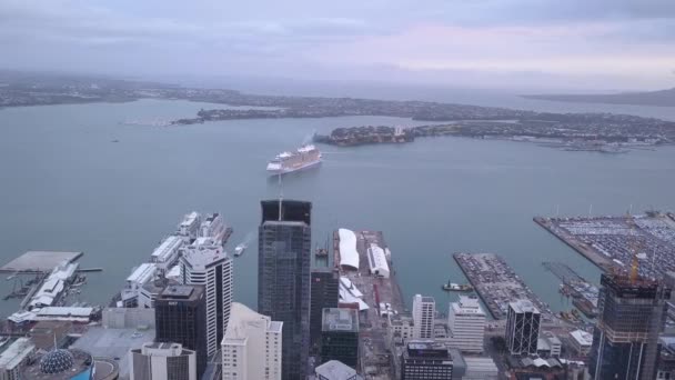 Viaduct Harbour Auckland Nueva Zelanda Diciembre 2019 Emblemático Hito Skytower — Vídeos de Stock