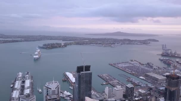 Viaduct Harbour Auckland Nouvelle Zélande Décembre 2019 Emblématique Skytower Auckland — Video